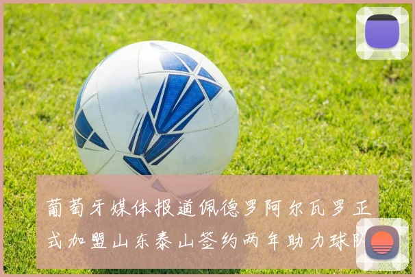 葡萄牙媒体报道佩德罗阿尔瓦罗正式加盟山东泰山签约两年助力球队发展