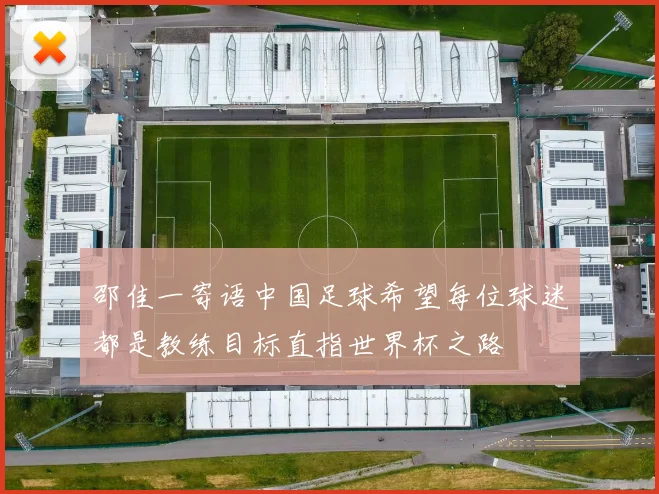 邵佳一寄语中国足球希望每位球迷都是教练目标直指世界杯之路