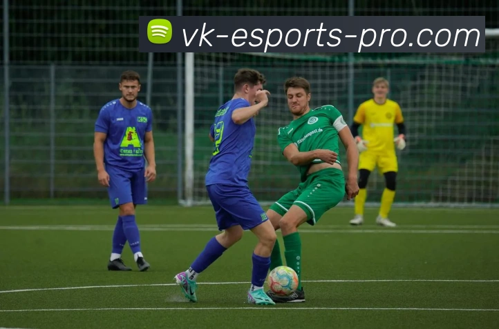 威客电竞服务体系